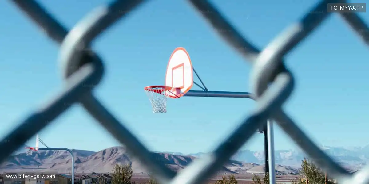 💻【直播平台】实时弹幕互动，你不是一个人在观赛！